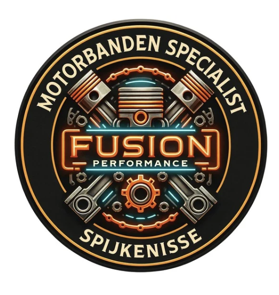 Logo Fusion Performance